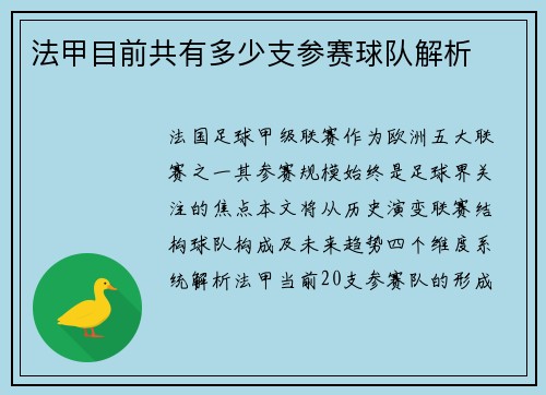 法甲目前共有多少支参赛球队解析